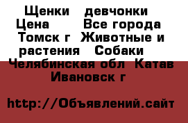 Щенки - девчонки › Цена ­ 2 - Все города, Томск г. Животные и растения » Собаки   . Челябинская обл.,Катав-Ивановск г.